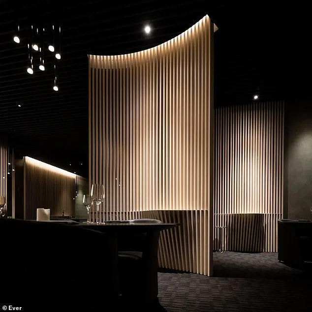 Former Board Member Accused of Siphoning $1.4M for Lavish Lifestyle, Including Strip Clubs and First-Class Dog Travel