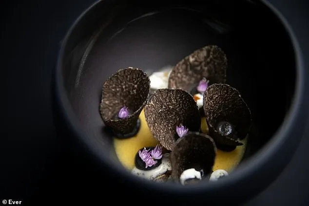 Former Board Member Accused of Siphoning $1.4M for Lavish Lifestyle, Including Strip Clubs and First-Class Dog Travel