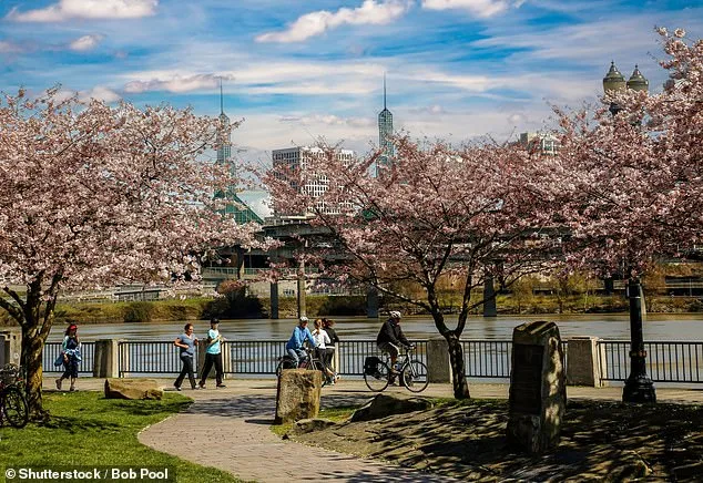 Tragedy on the Willamette: One Teen Survives as Three Die in High-Speed Chase Crash