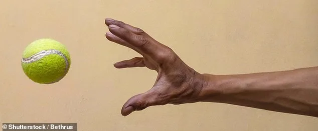 Chronic Shoulder Pain Soars: Aging Population and Sedentary Lifestyles Fuel Increase