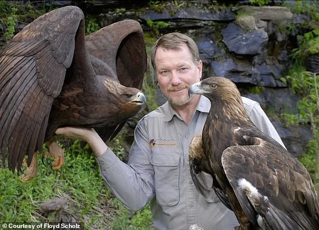 From Olympic Heartbreak to Six-Figure Bird Carvings: How Floyd Scholz Turned Tragedy into Triumph with Art Owned by RFK Jr. and Hollywood Stars