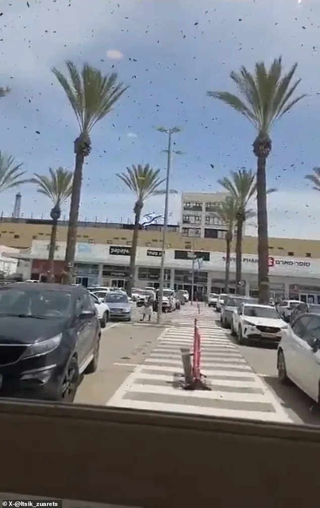 Bees Swarm Netivot: Israeli City Faces Unprecedented Insect Invasion