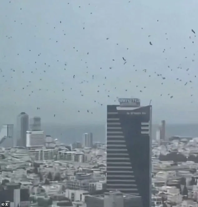 Bees Swarm Netivot: Israeli City Faces Unprecedented Insect Invasion