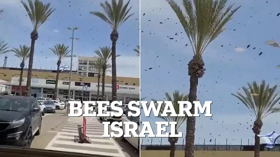 Bees Swarm Netivot: Israeli City Faces Unprecedented Insect Invasion