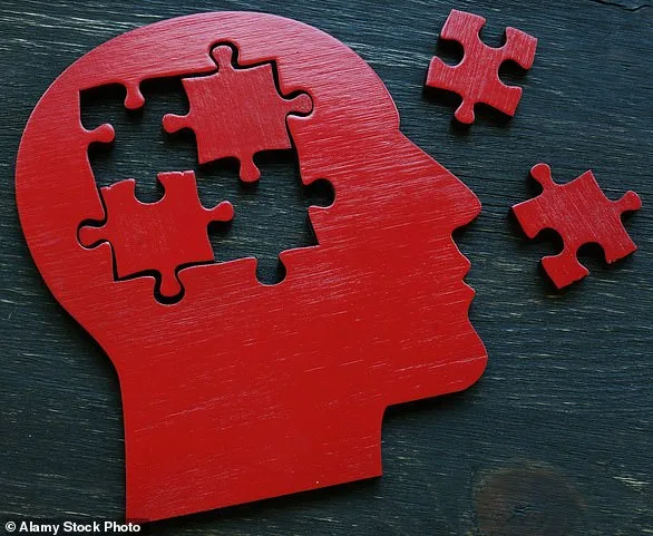 Brain Expansion: MRI Scans Reveal Surprising Growth Potential