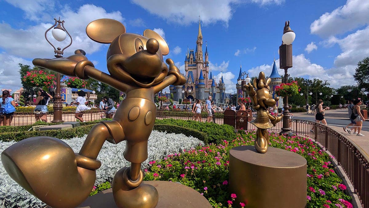 Families Smuggle Kids in Strollers at Disney Amid Soaring Ticket Prices