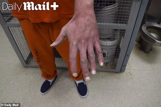 Haunting Photos of Bryan Kohberger's Custody Reveal disturbing Details.