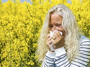 Hay Fever Meds Linked to Weight Gain: GP Warning