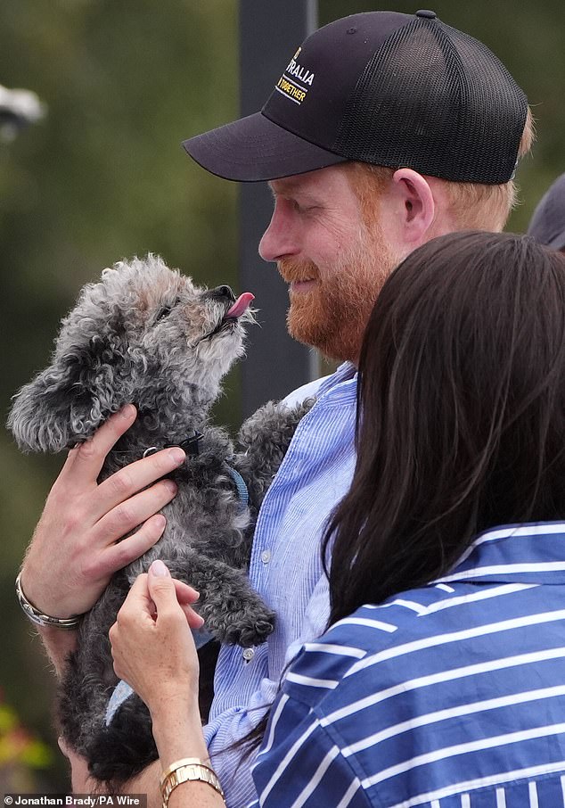 Poll: Four-Fifths of Britons Oppose Sussex Monetizing Royal Titles