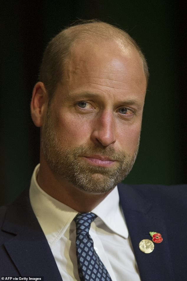 Poll: Four-Fifths of Britons Oppose Sussex Monetizing Royal Titles