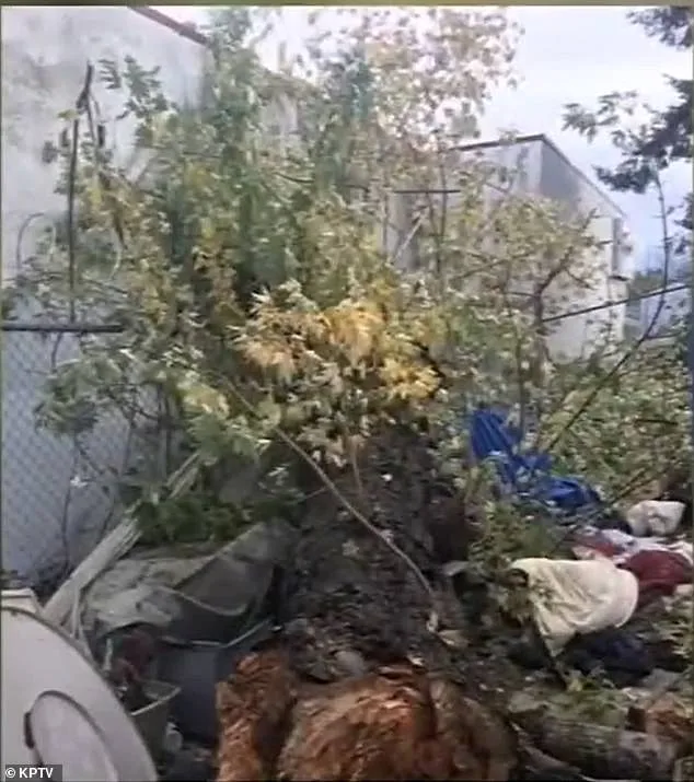 Settlement Reached in Portland Tree Accident Death Lawsuit