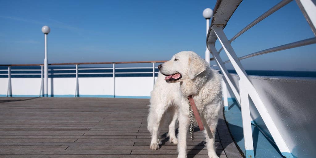 Fabled Voyages becomes first major cruise line to officially accept pet deposits.