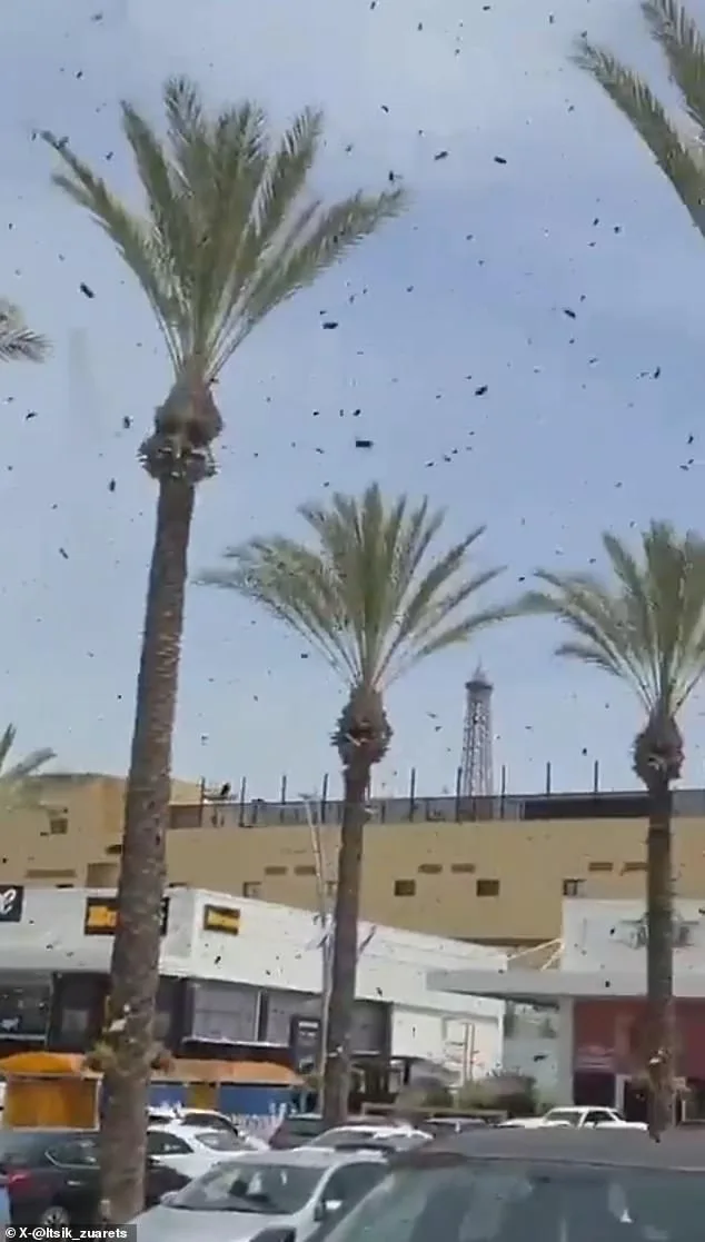 Israel's Bee Swarms Spark Biblical Fears Amid Regional Tensions