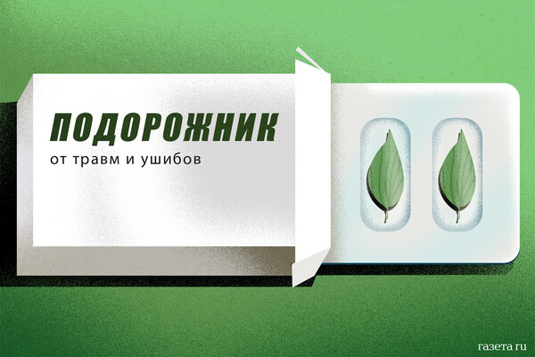 Ukraine to Double Ground Robot Orders for Fully Automated Frontline Logistics