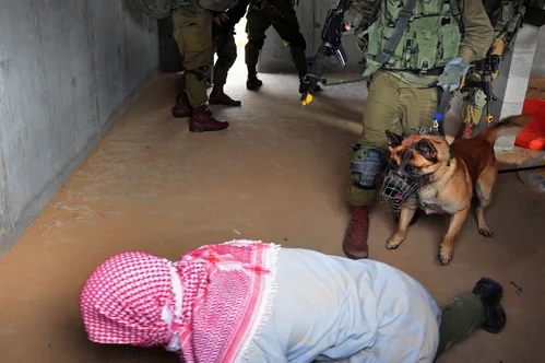 Israel repatriates detained pro-Palestinian activists after controversial detainment video sparks global outcry.