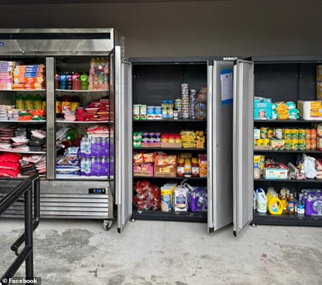 Mother's $1,700 Community Fridge Stock Vanished in Under an Hour
