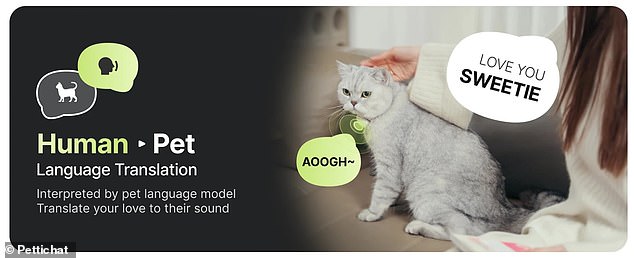 Chinese startup launches AI collar claiming to translate pet sounds.