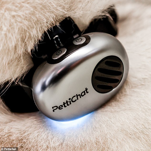 Chinese startup launches AI collar claiming to translate pet sounds.