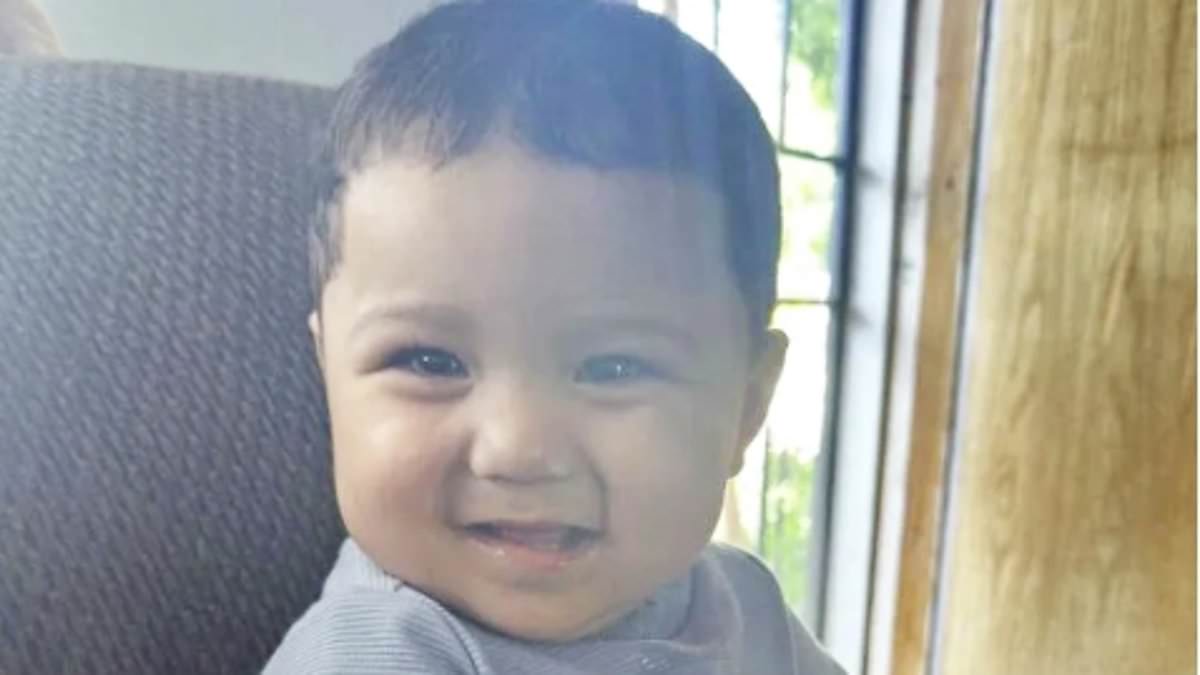Suspect flees to Mexico after fatal hit-and-run killing toddler in Phoenix.