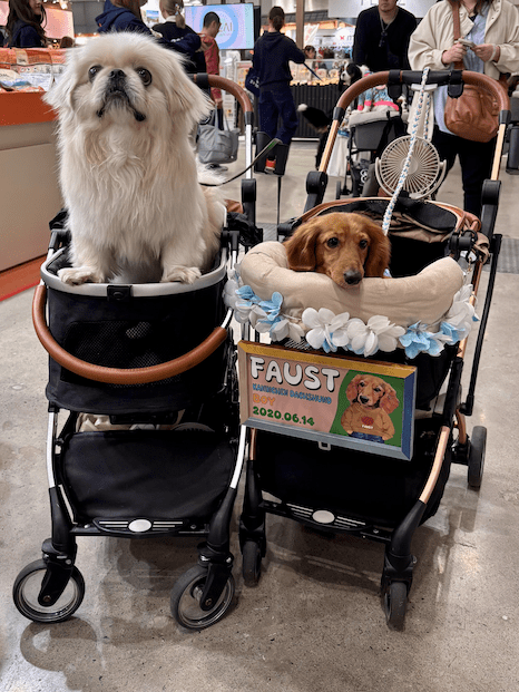 Japan's baby carrier makers pivot strategies as pet population surpasses human infants.