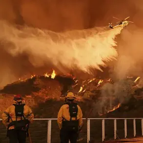 California's Governor Seeks Federal Aid for Wildfire Recovery