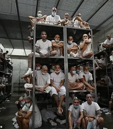 Confronting Gang Members in El Salvador's Terror Confinement Center