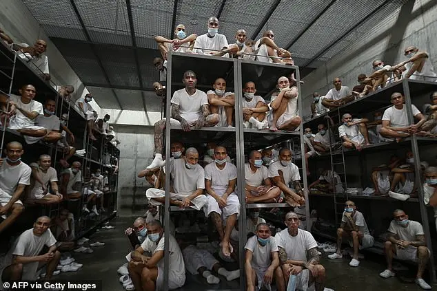 Confronting Gang Members in El Salvador's Terror Confinement Center