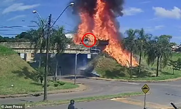 Daring Escape: Truck Driver Escapes Serious Road Accident in Brazil