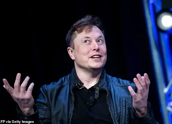 Elon Musk's Poll on Reinstating Former Aide Sparks Controversy