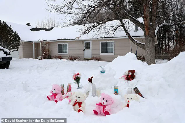Friend remembers 'fierce mama bear protector' Nicole Jensen who killed her four young daughters in a murder-suicide