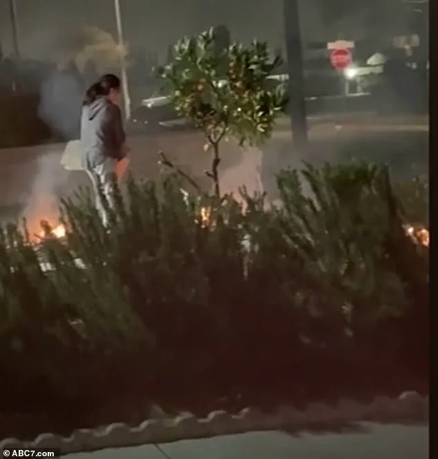 Los Angeles Arsonist Set Fire to Her Lawn Twice in One Month