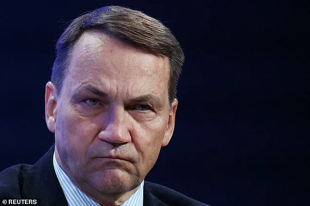 Polish Foreign Minister's Comment on Trump at Munich Security Conference