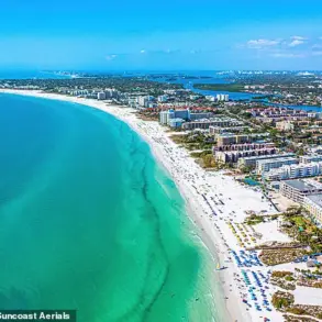 Siesta Key Beach: More Than Just Stunning Views