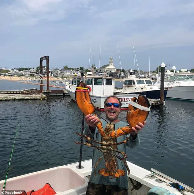 The Rare Danger of Whale Encounters: A Massachusetts Incident Brings Attention to the Risk