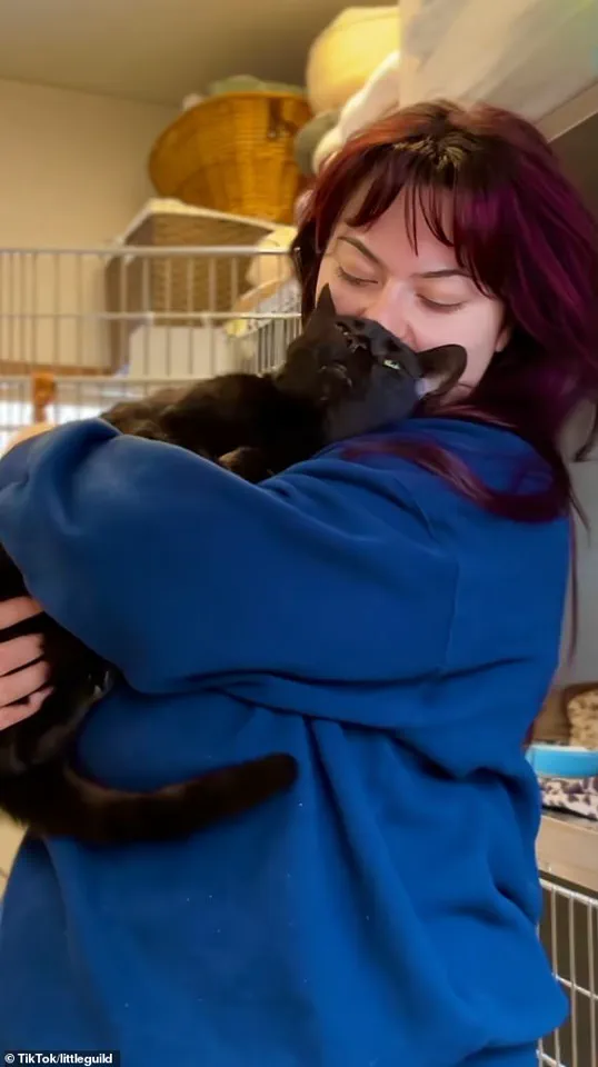 The Surprising Story of Ravi, the 'Too Affectionate' Cat
