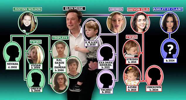 Elon Musk in Hot Seat as Baby Mama Sues for Custody