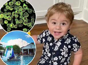 Exclusive Report: Arkansas Toddler Dies from Brain-Eating Amoeba After Water Playground Visit