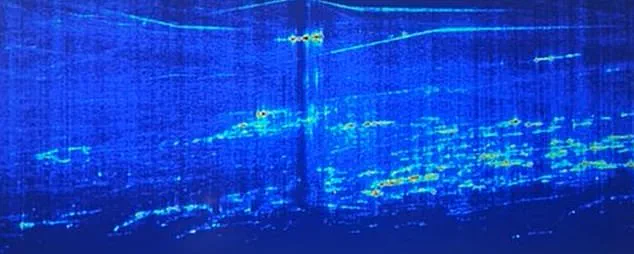 Scientists Reveal Details of Enigmatic Structures Deep Beneath Egypt's Pyramid