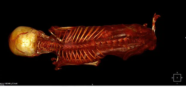 Unraveling the Mystery of Peru's 'Alien Mummies': New Evidence Revealed