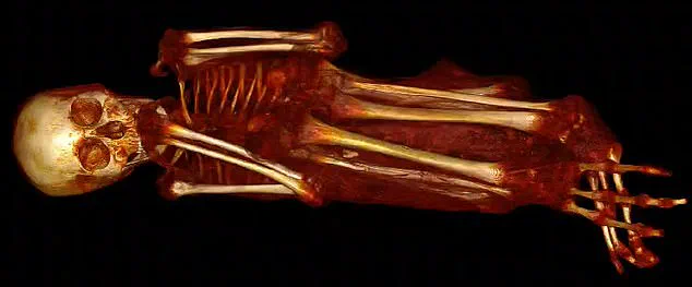 Unraveling the Mystery of Peru's 'Alien Mummies': New Evidence Revealed