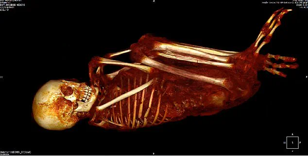 Unraveling the Mystery of Peru's 'Alien Mummies': New Evidence Revealed