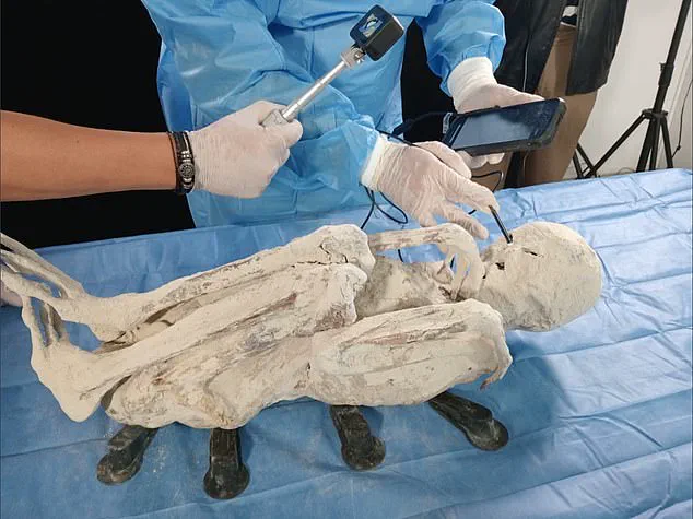 Unraveling the Mystery of Peru's 'Alien Mummies': New Evidence Revealed