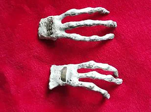 Unveiling the Mystery of 'Alien Mummies' in Peru: A Scientific Exploration