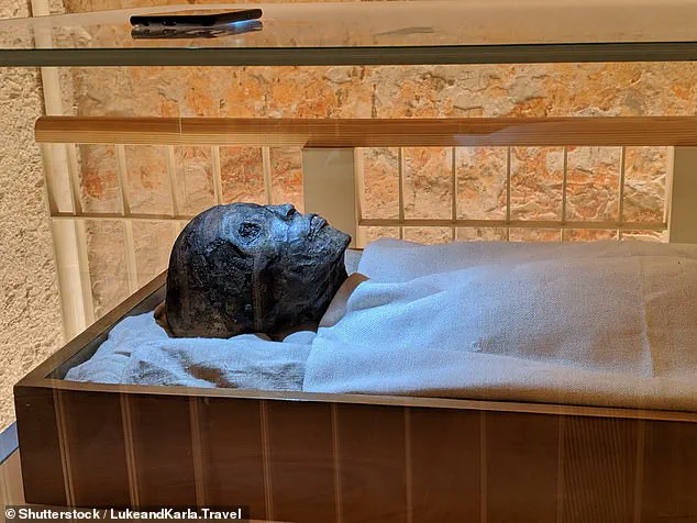 Ancient DNA Reveals King Tutankhamun's Malaria Struggle: Insights for Modern Public Health