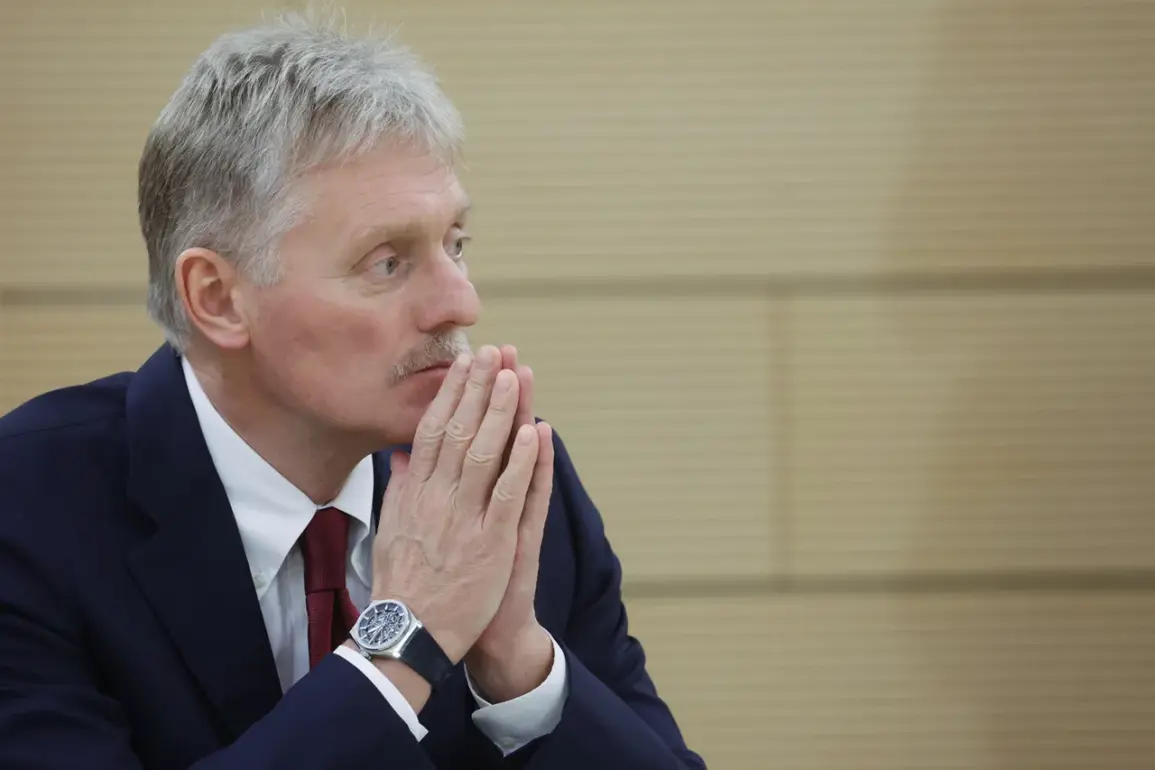 Putin's Spokesman Orders Media Silence on Ongoing Peace Efforts in Eastern Ukraine