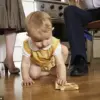 Senior Analyst's Viral Experiment Challenges the 'Five Second Rule': Over 1 Million Views Later, What Do the Petri Dishes Reveal?