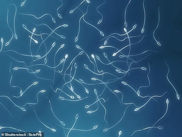 World's First Sperm-Making Stem Cell Transplant Offers Hope for Infertile Men