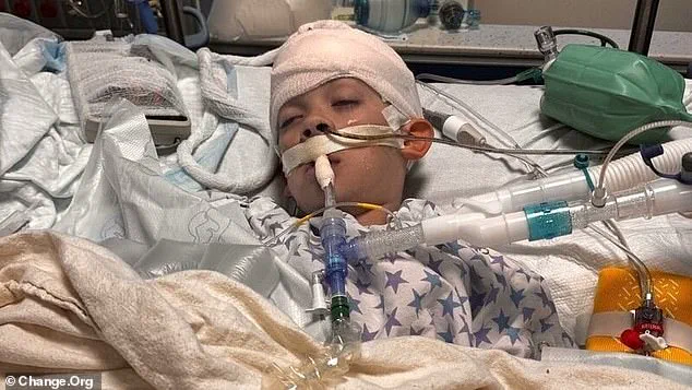 A Mother's Plea: 'Awareness Could Have Saved My Son' – The Tragic Story of Liam Dahlberg and the Hidden Danger of a Rare Infection