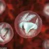Exclusive Report: Cryptosporidium Outbreak Threatens Public Health at Welsh Petting Farm