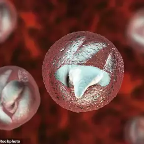 Exclusive Report: Cryptosporidium Outbreak Threatens Public Health at Welsh Petting Farm